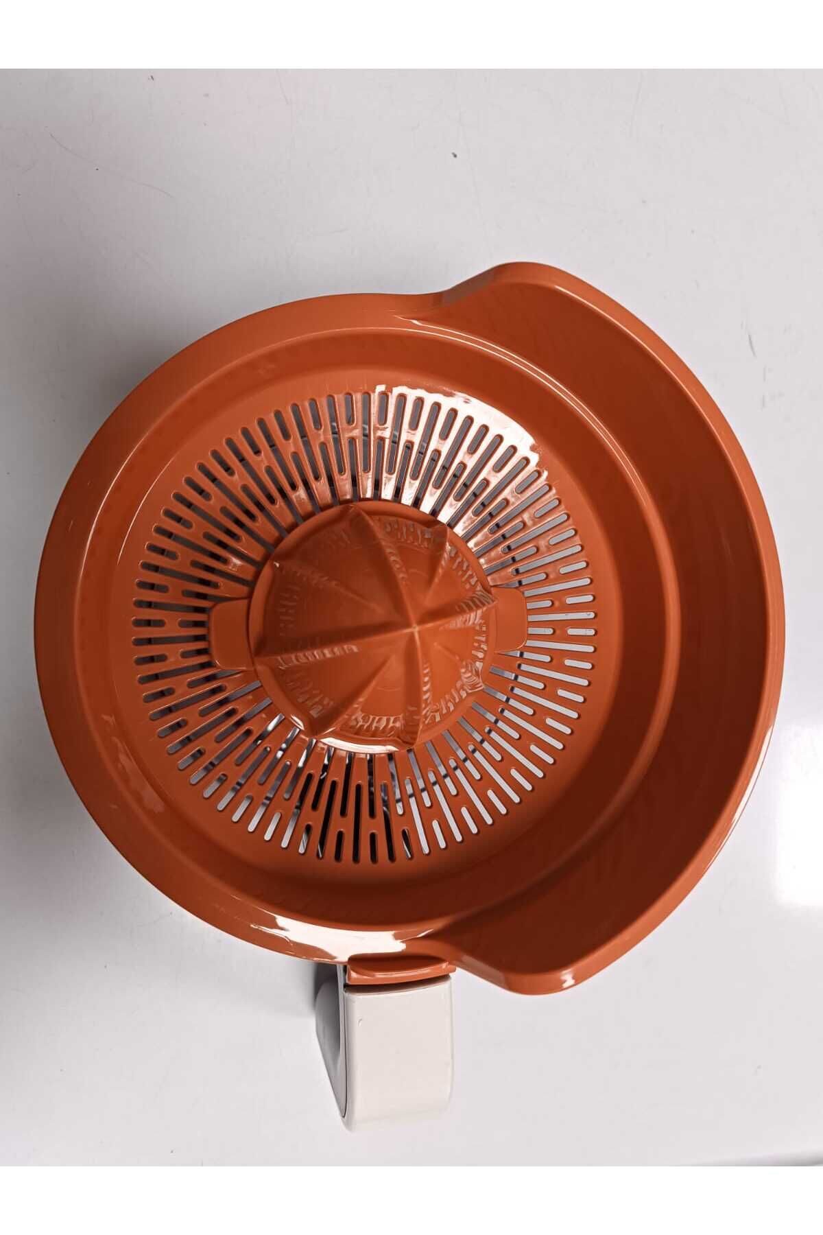 BKK 1391 Mutfak Robotu Uyumlu Narenciye Başlık.